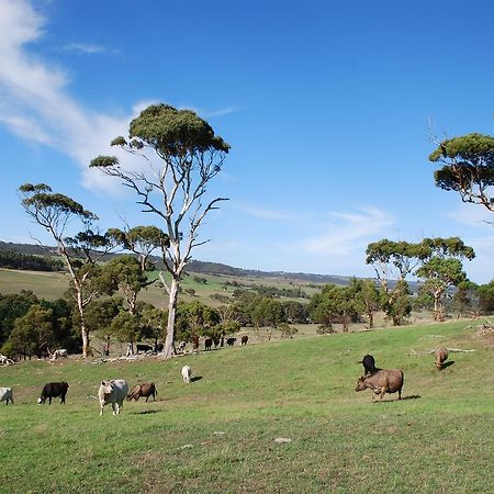 Back Valley Farmstay Bed And Breakfast Victor Harbor Extérieur photo