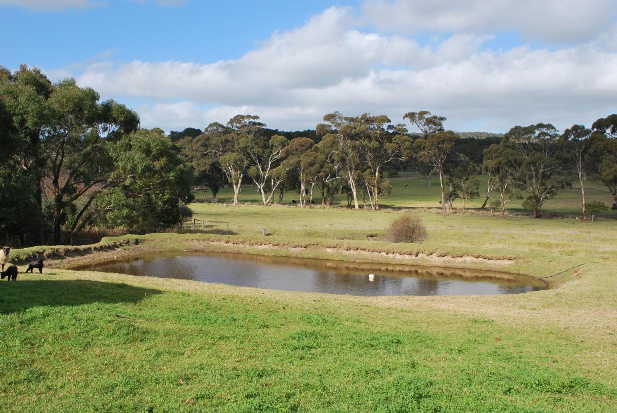Back Valley Farmstay Bed And Breakfast Victor Harbor Extérieur photo