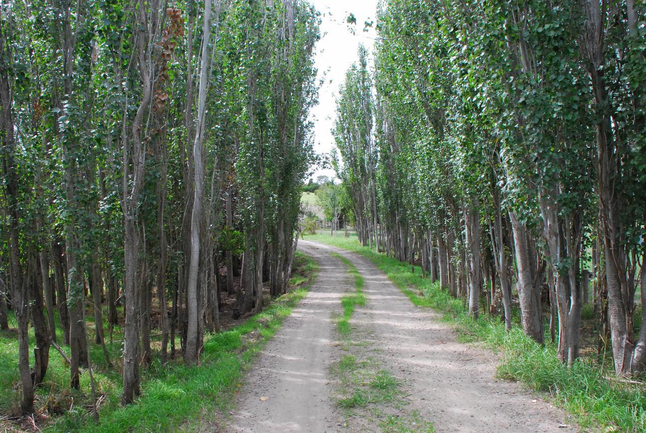 Back Valley Farmstay Bed And Breakfast Victor Harbor Extérieur photo